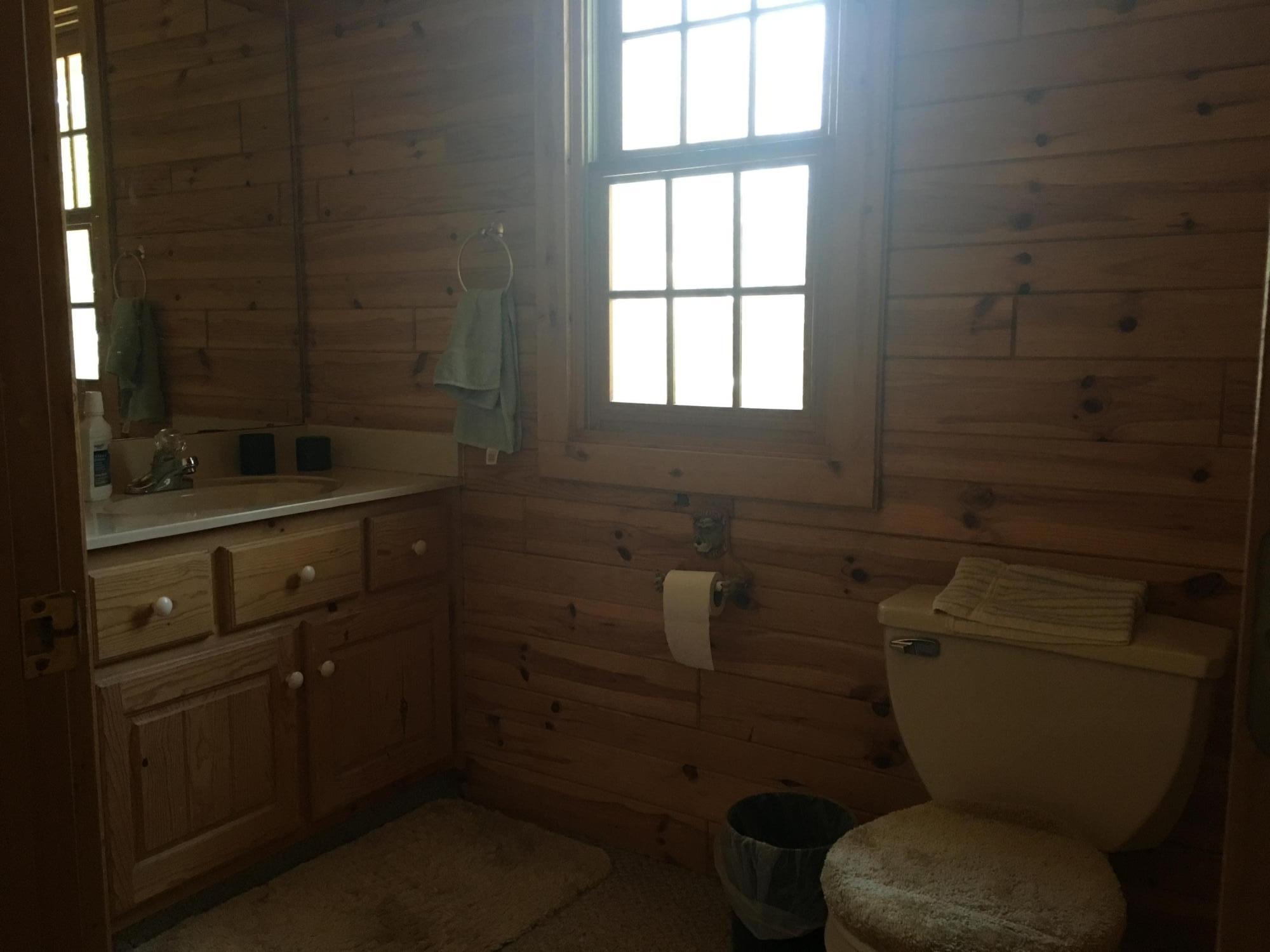 9335 Ryan Road Atlanta, MI 49709 - Photo 34 of 45 Gallery Image 34