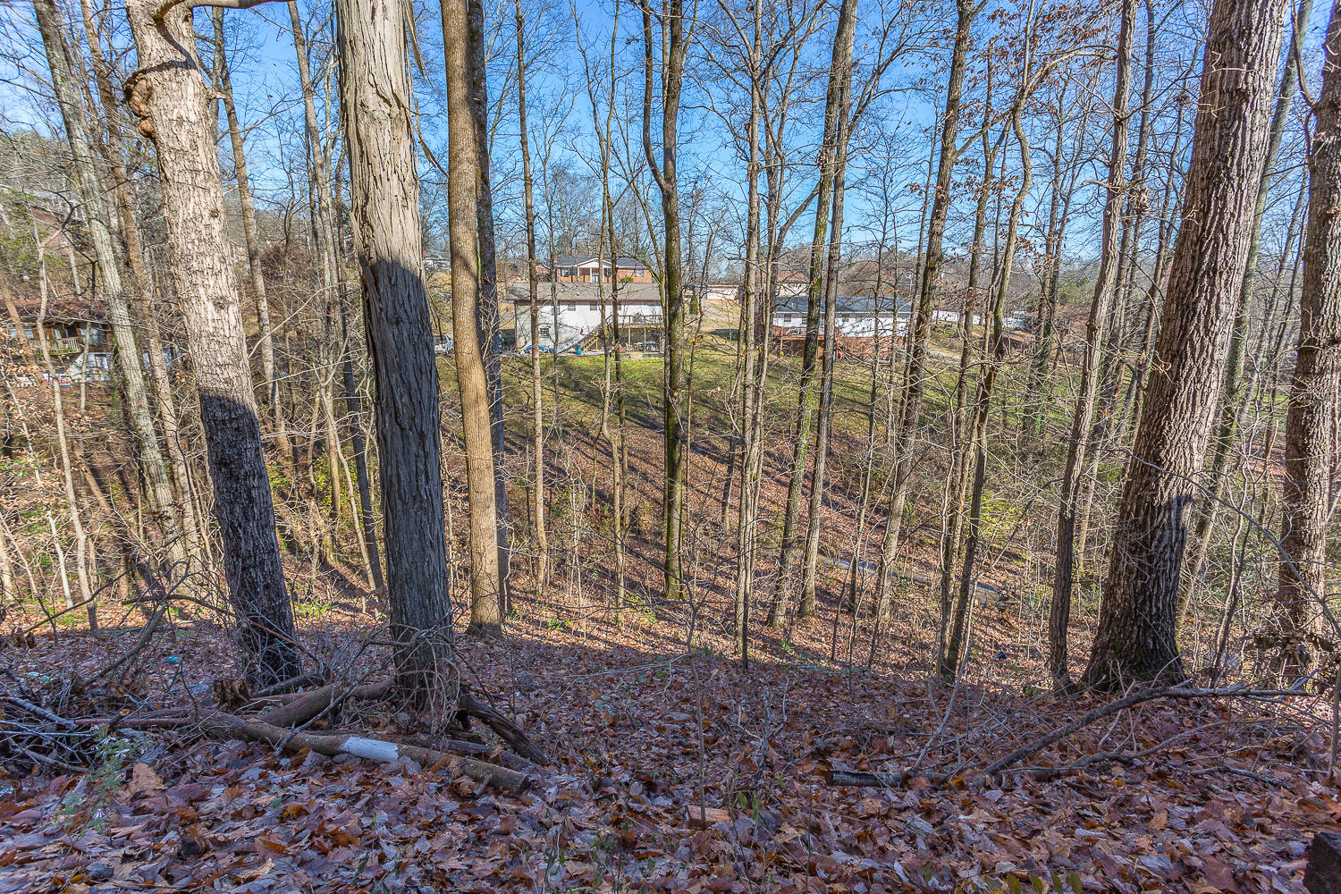 3411 Massengale Road Chattanooga, TN 37419 - Photo 57 of 58 3411 MassengaleHD-17