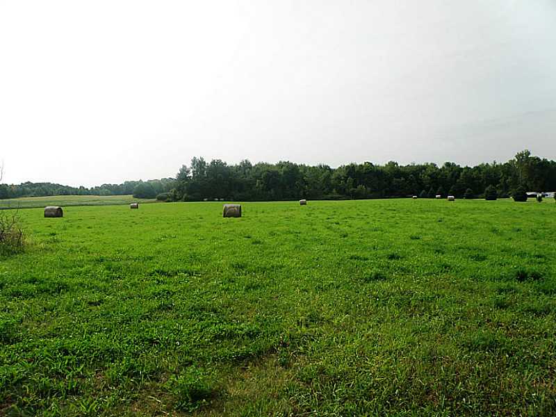 Land.