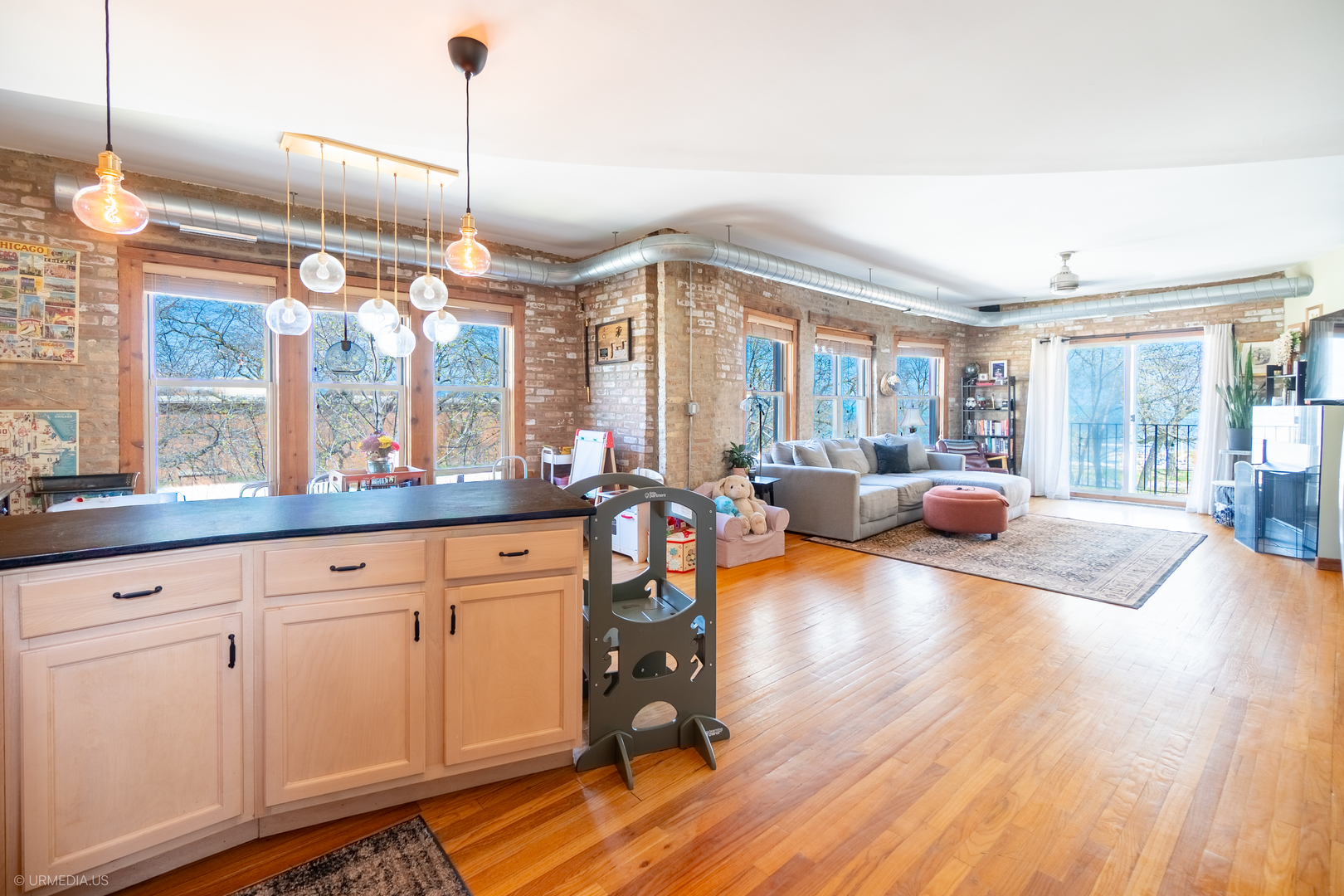 1231 West Greenleaf Avenue, Unit 2 Chicago, IL 60626 - Photo 9 of 25