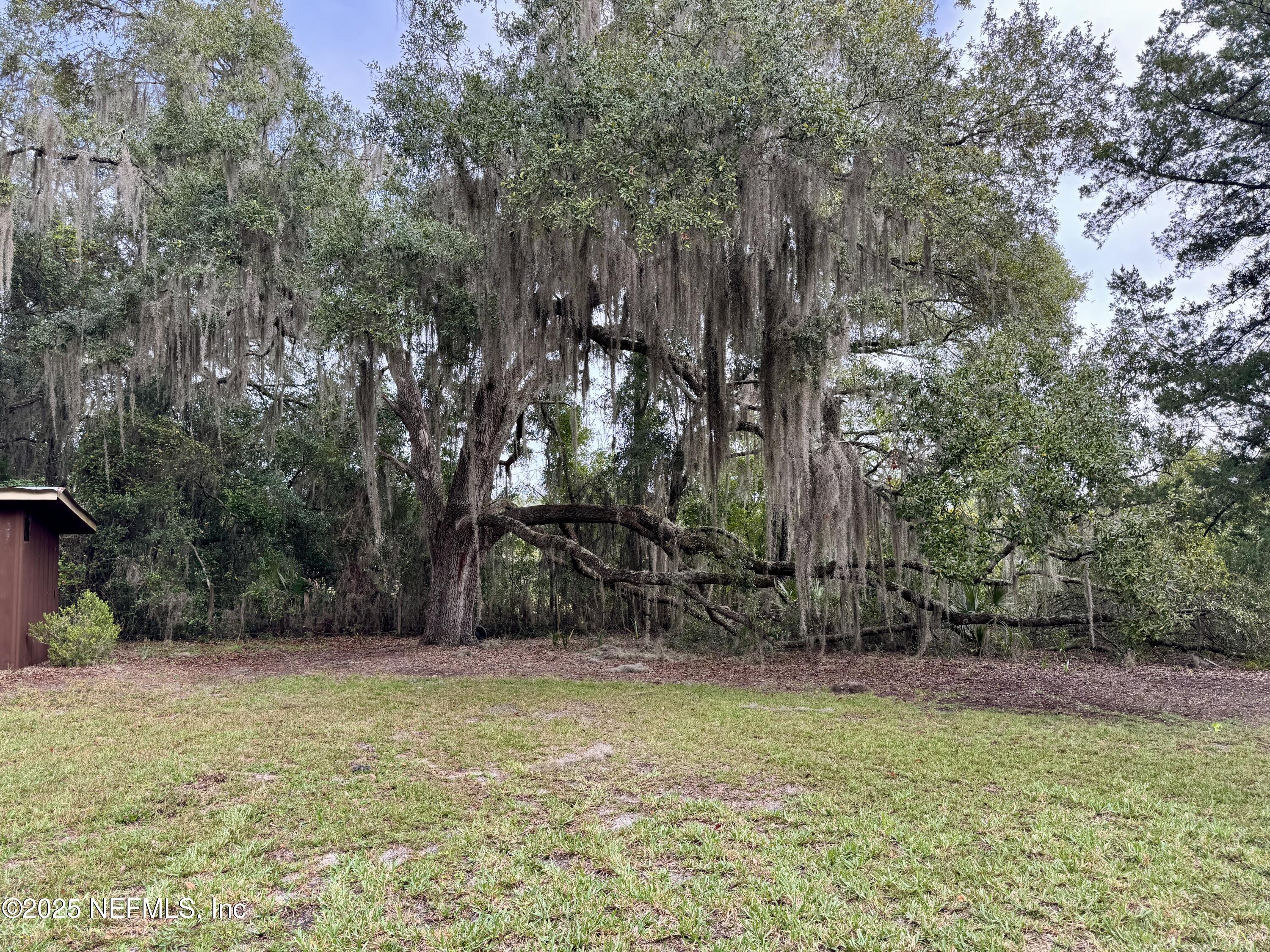 116 Francis Street Interlachen, FL 32148 - Photo 12 of 45 a view of outdoor space and yard