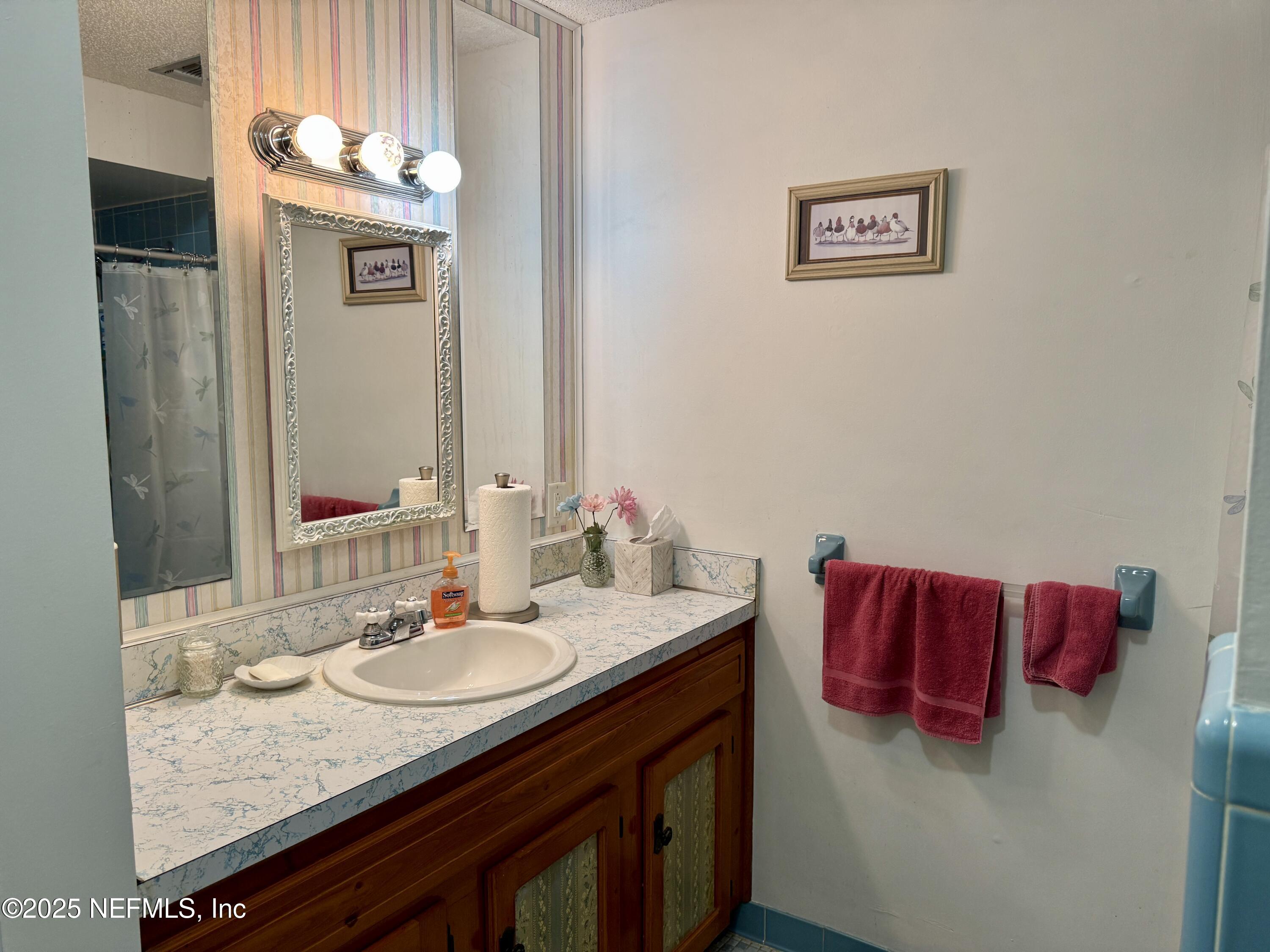 116 Francis Street Interlachen, FL 32148 - Photo 31 of 45 a bathroom with a sink and a mirror