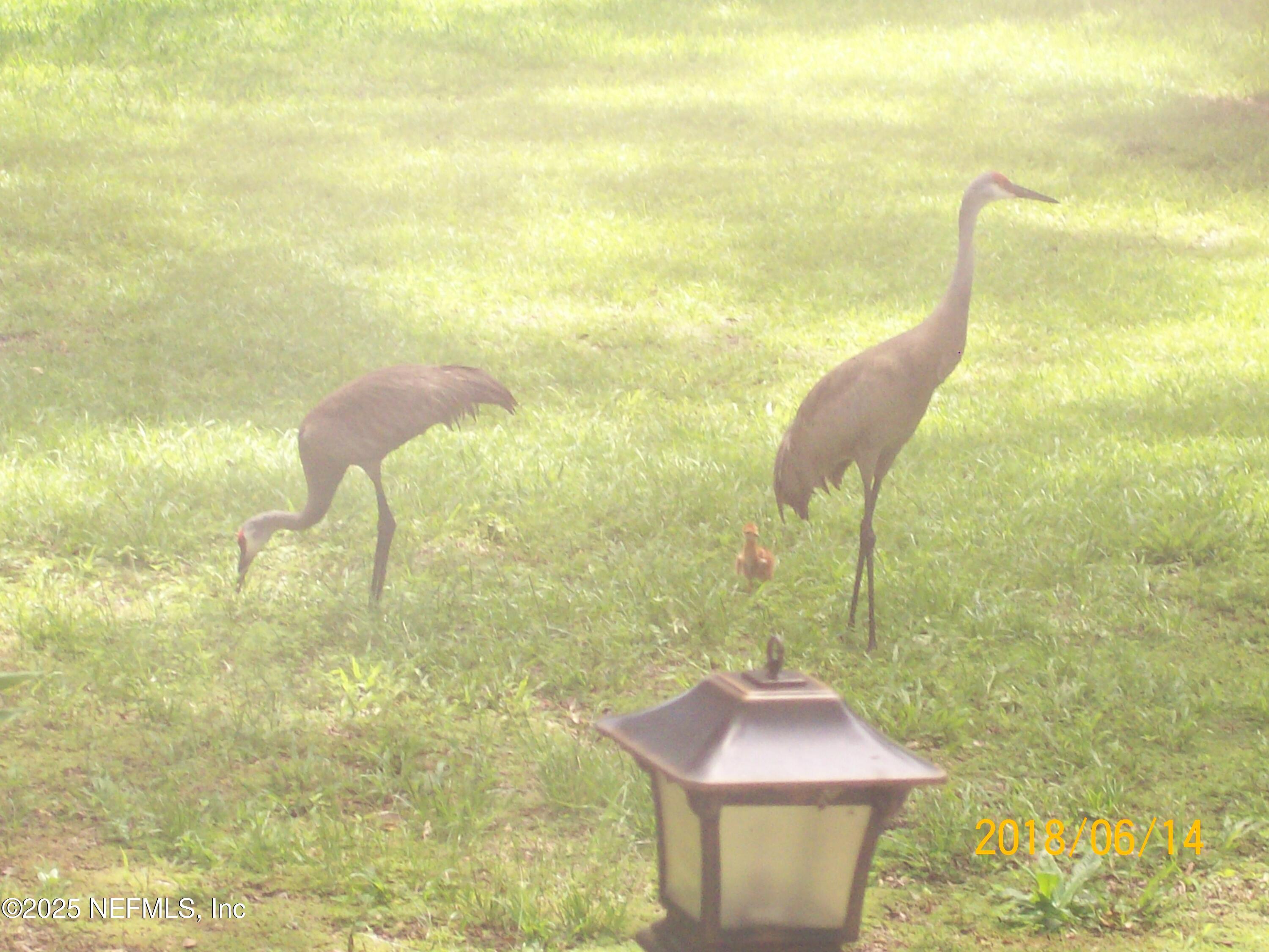 116 Francis Street Interlachen, FL 32148 - Photo 35 of 45 a bathroom with a sink and a mirror