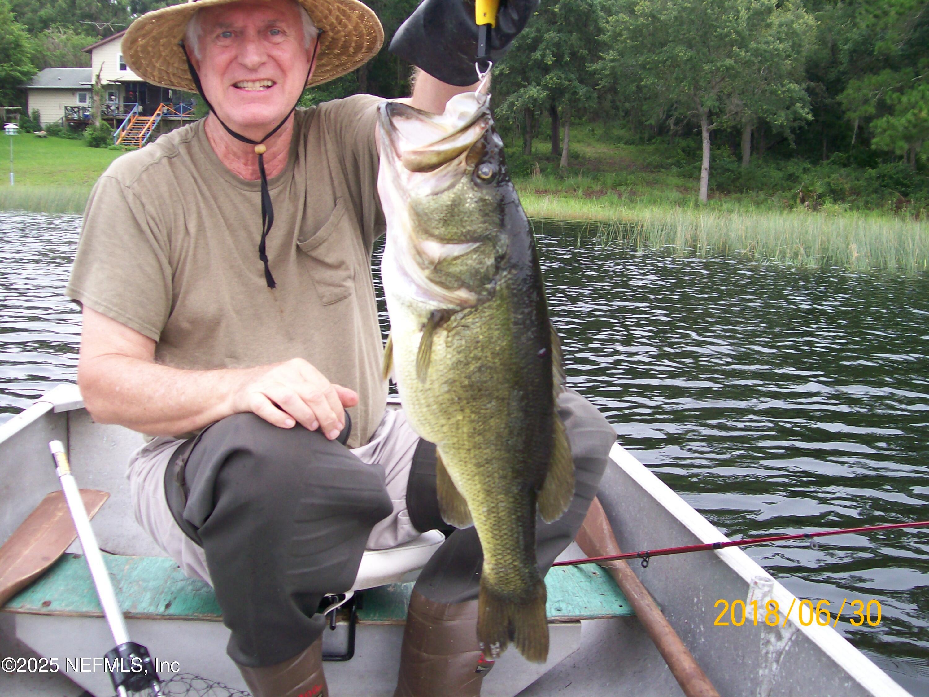 116 Francis Street Interlachen, FL 32148 - Photo 36 of 45 a backyard of a house with table and chairs