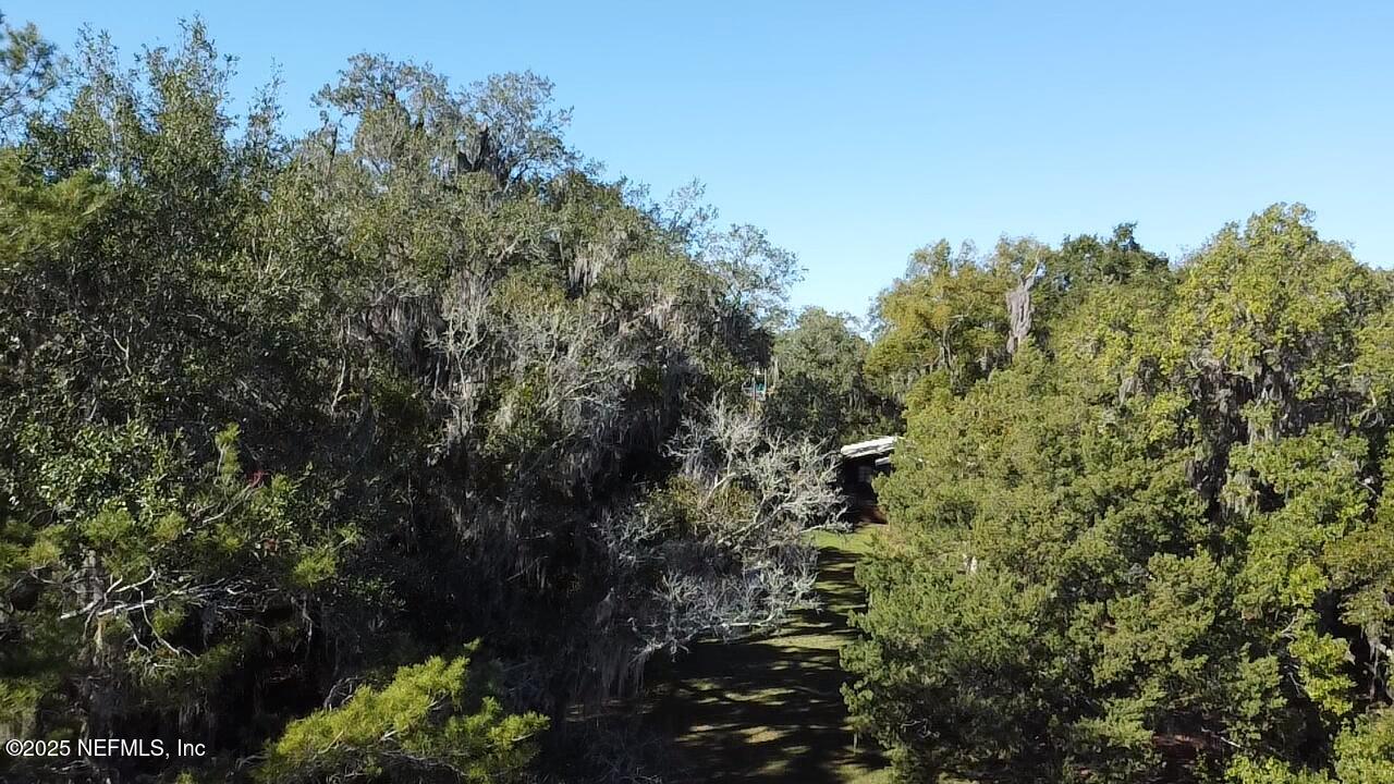 116 Francis Street Interlachen, FL 32148 - Photo 45 of 45 a view of a forest with a tree