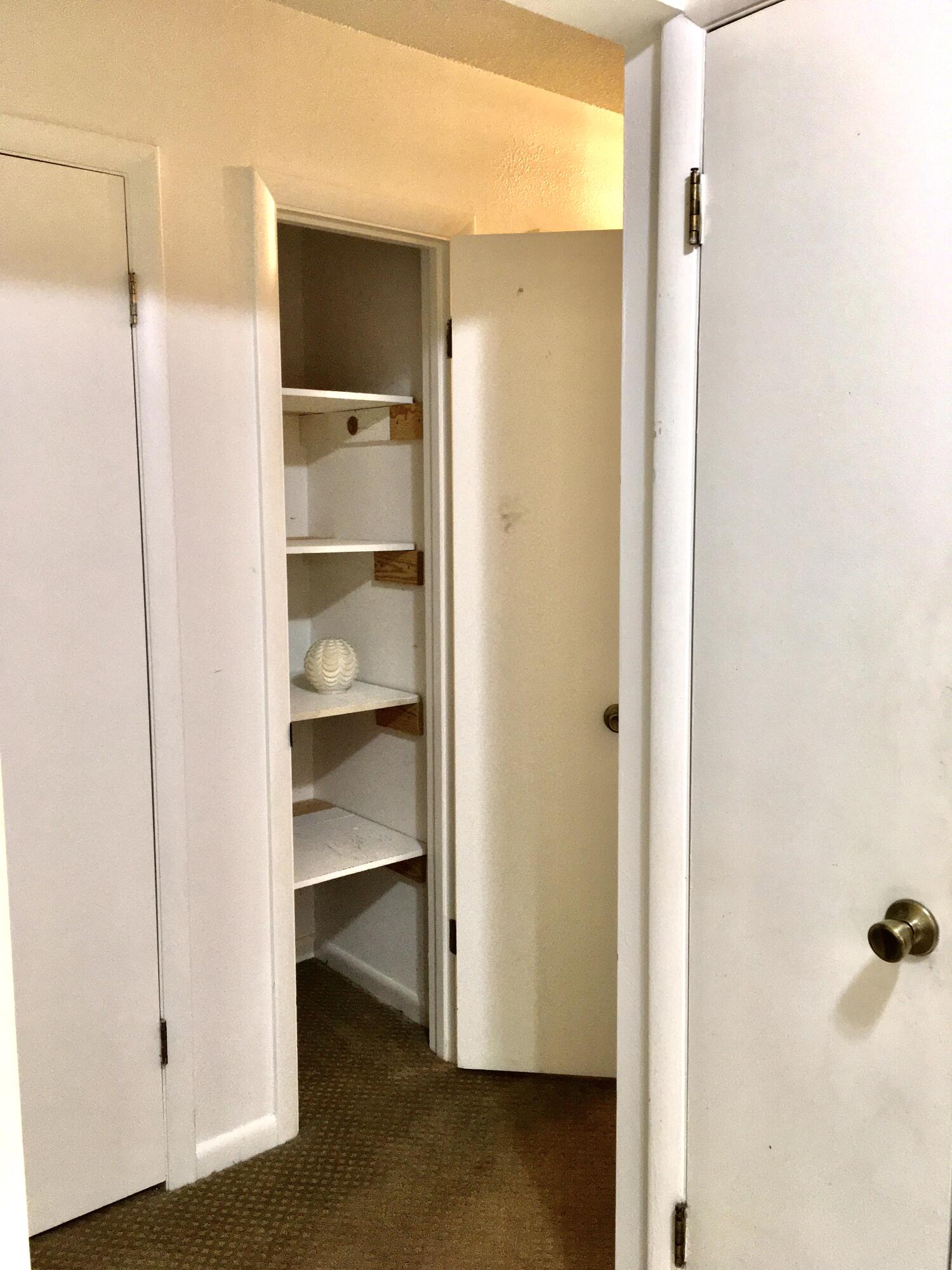 1017 Stevens Creek Road, Unit J 198 Augusta, GA 30907 - Photo 9 of 21 Hall Closet