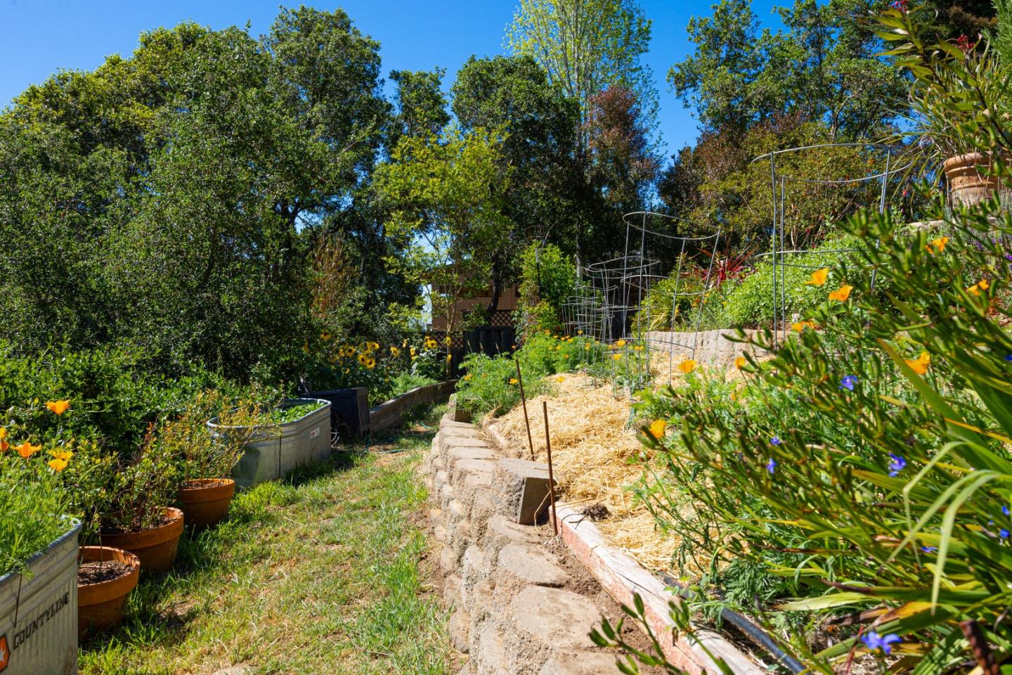 348 Los Robles Road Soquel, CA 95073 - Photo 46 of 87 a view of a garden with plants