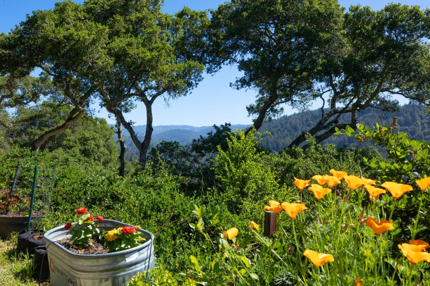 348 Los Robles Road Soquel, CA 95073 - Photo 53 of 87