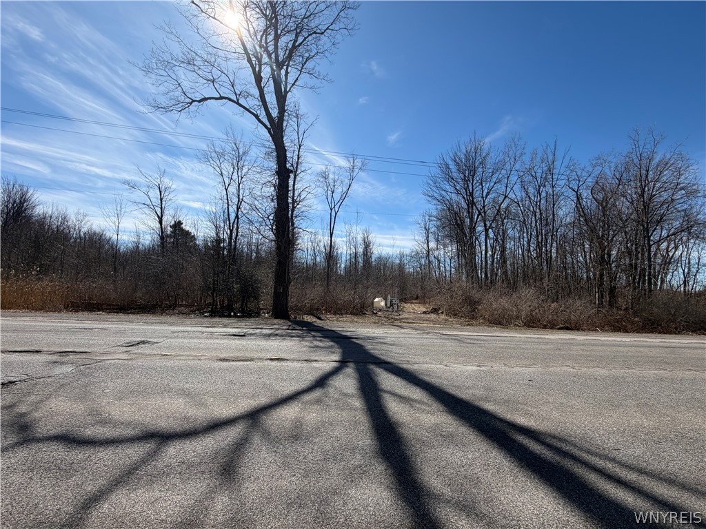 Main Street Corfu, NY 14036 - Photo 6 of 7