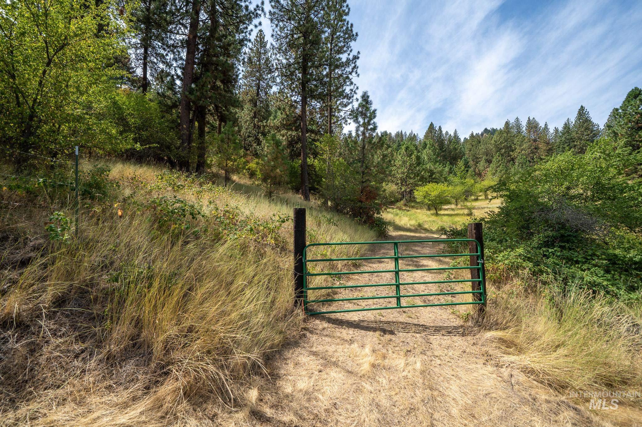 161 Saddle Ridge Road White Bird, ID 83554 - Photo 49 of 49 Green metal gate on a dirt path with mature trees and natural landscaping