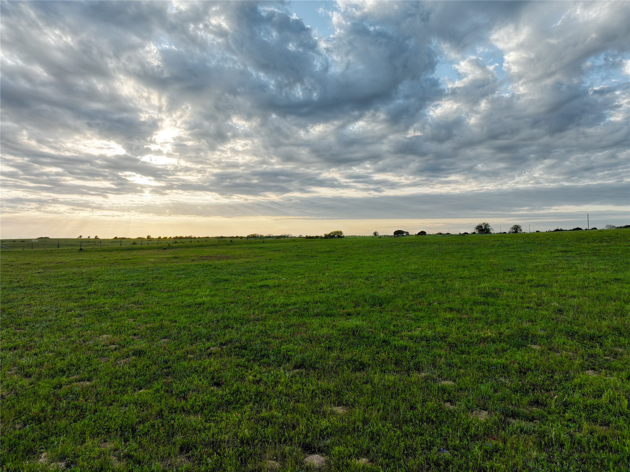 2088 Sempronius Road Chappell Hill, TX 77426 - Photo 13 of 15 a view of a big yard with plants and large tree