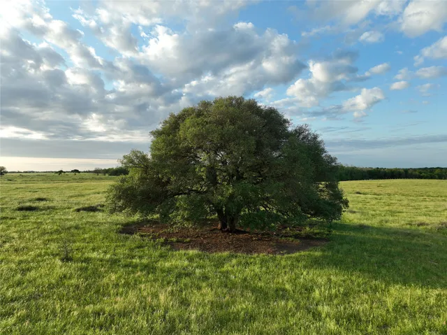 $4,537,400 | 2088 Sempronius Road, Chappell Hill, TX 77426