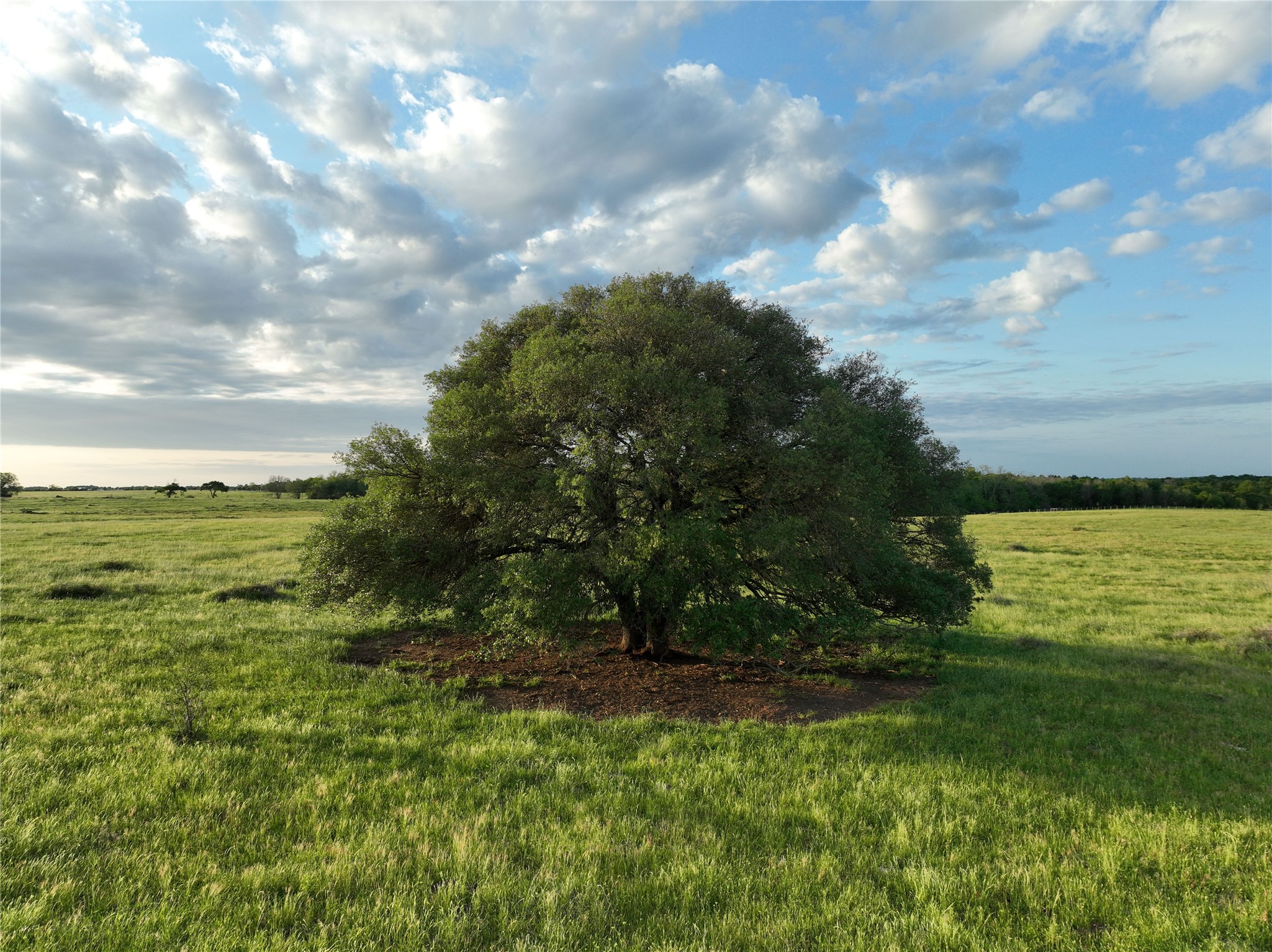 2088 Sempronius Road Chappell Hill, TX 77426 - Photo 4 of 15 a view of a green field