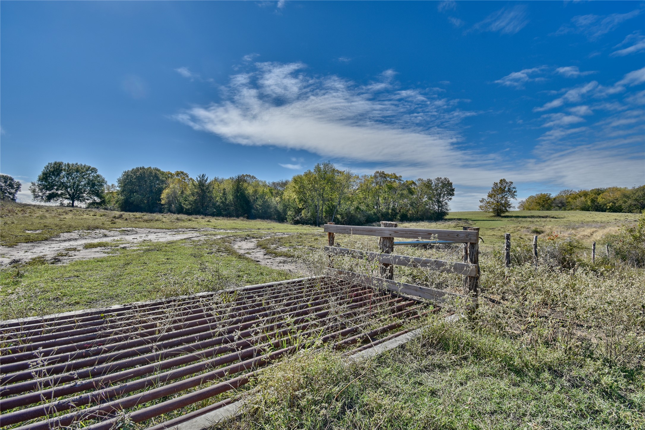 2088 Sempronius Road Chappell Hill, TX 77426 - Photo 6 of 15 a view of a yard with an trees