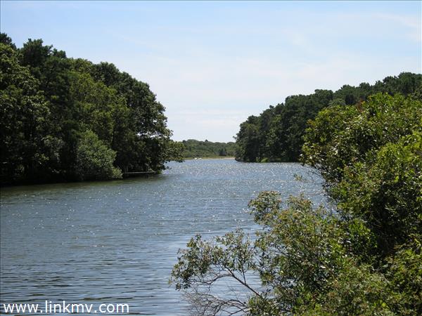 150 Deep Bottom Road West Tisbury, MA 02568 - Photo 2 of 21 Gallery Image 2