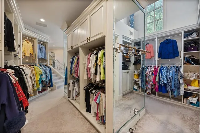 a view of a garden with plants