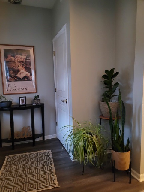 503 Metropolitan Street, Unit 503 Aurora, IL 60502 - Photo 13 of 24 a view of a hallway with wooden floor