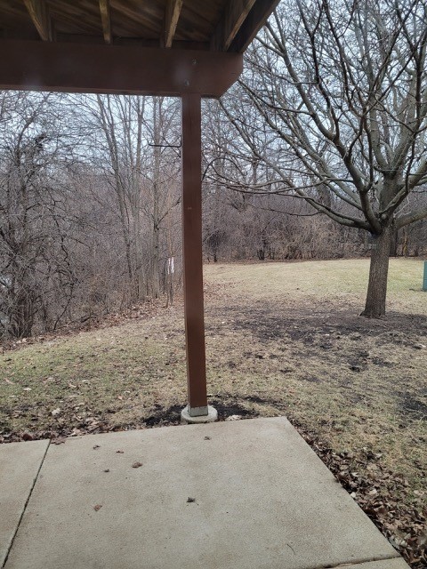 503 Metropolitan Street, Unit 503 Aurora, IL 60502 - Photo 20 of 24 a view of a yard with large tree