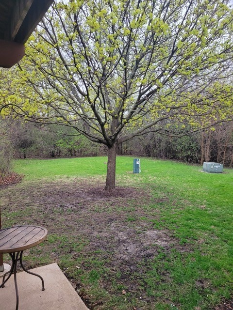503 Metropolitan Street, Unit 503 Aurora, IL 60502 - Photo 23 of 24 a view of a yard with a tree