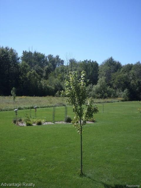 60603 Bates Road New Haven, MI 48048 - Photo 45 of 47 BatesRd 122.JPG