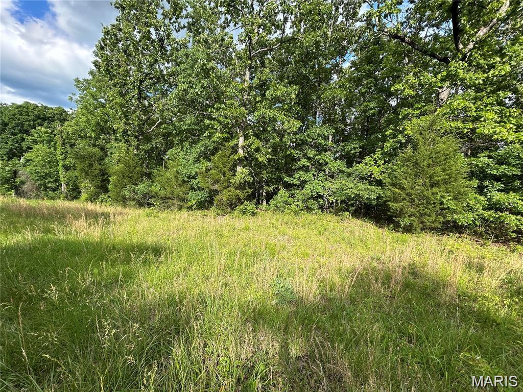 Lot 14 Hickory Ridge Steelville, MO 65565 - Photo 9 of 10