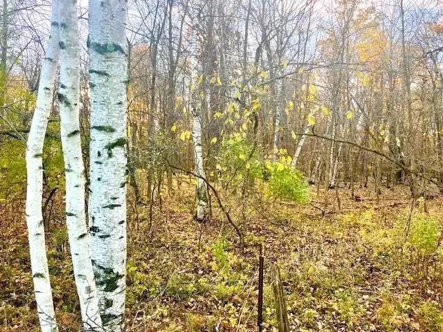 $149,900 | Lot 4 320th Street, Clear Lake, WI 54005