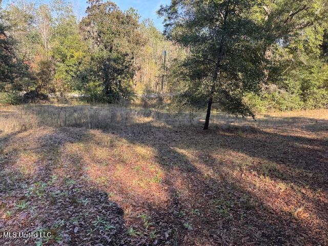 201 Mason Road Lucedale, MS 39452 - Photo 11 of 11 thumbnail