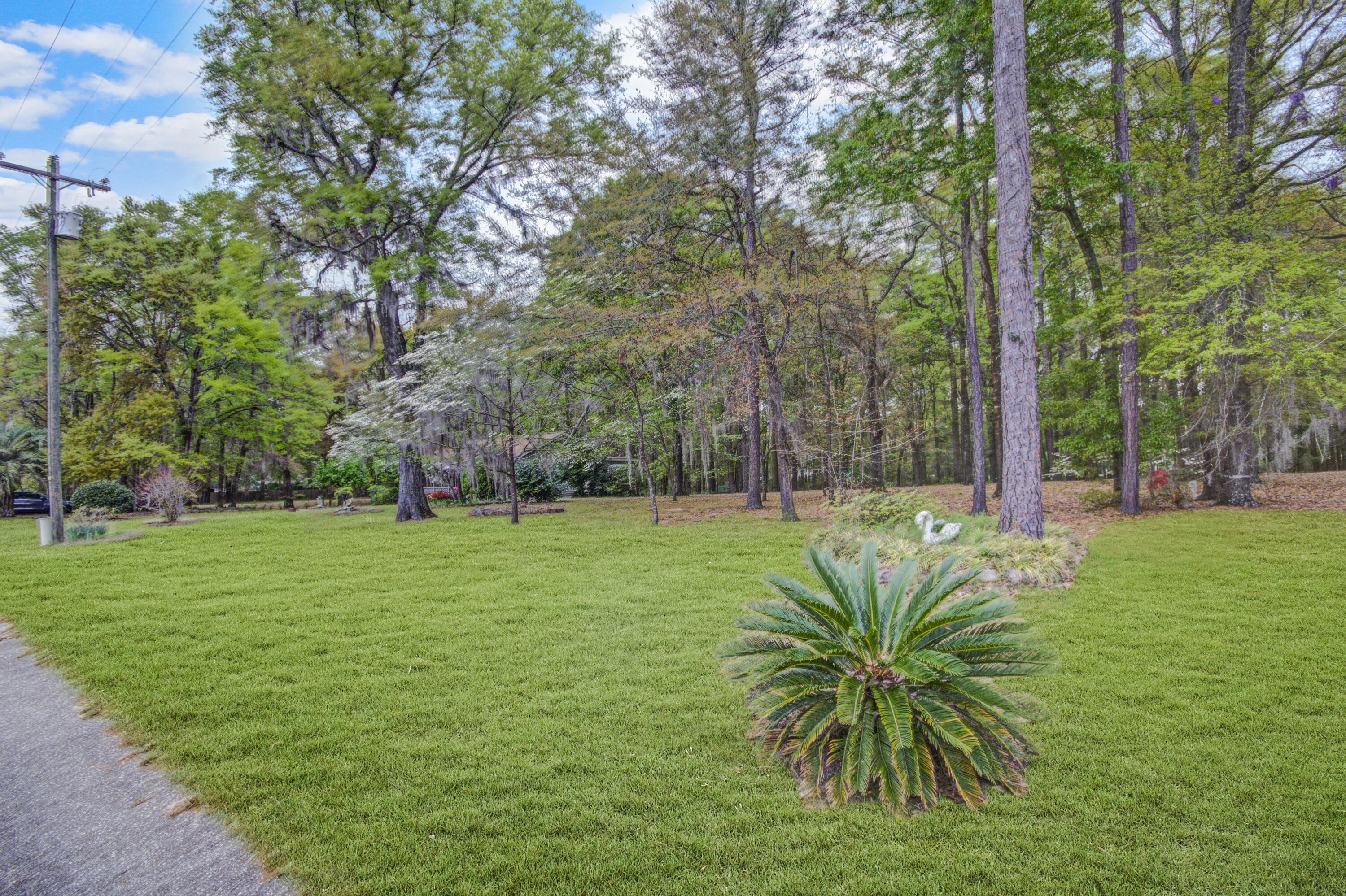 3073 Princess Pond Road Summerton, SC 29148 - Photo 22 of 24 Over 1 acre