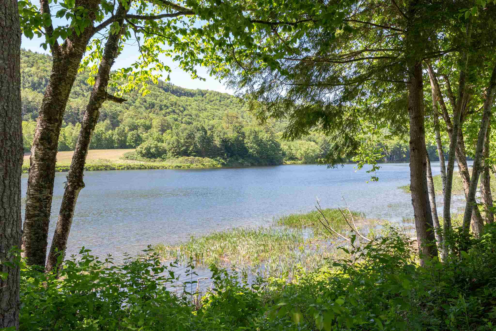 651 River Road Lyme, NH 03768 - Photo 31 of 40
