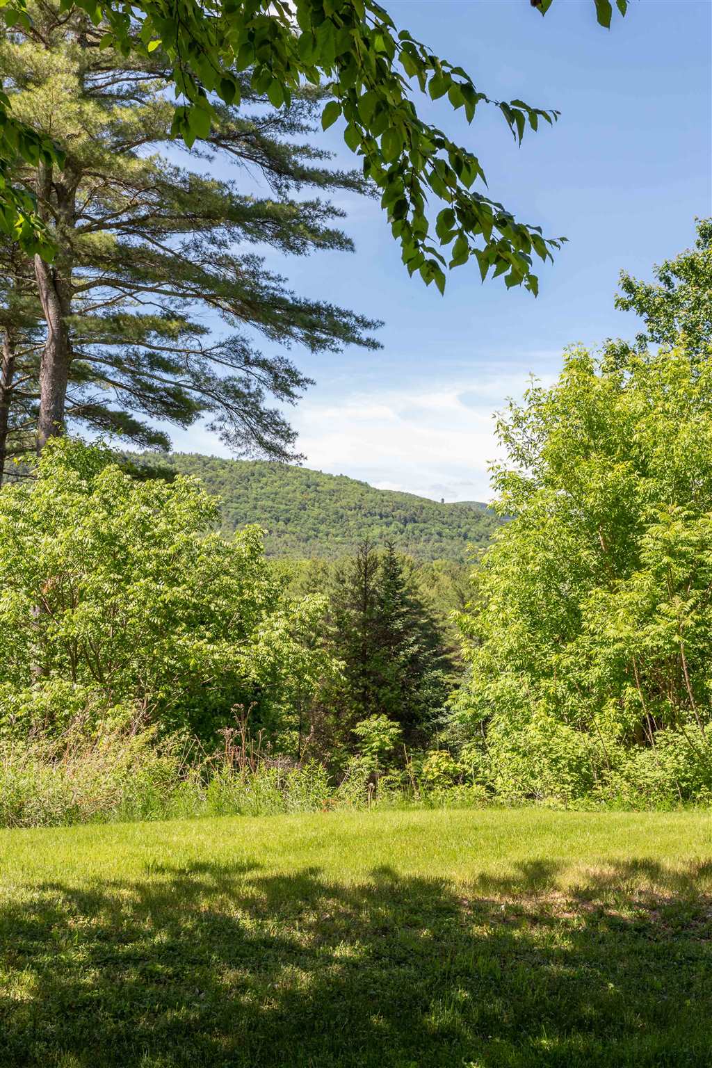 651 River Road Lyme, NH 03768 - Photo 37 of 40
