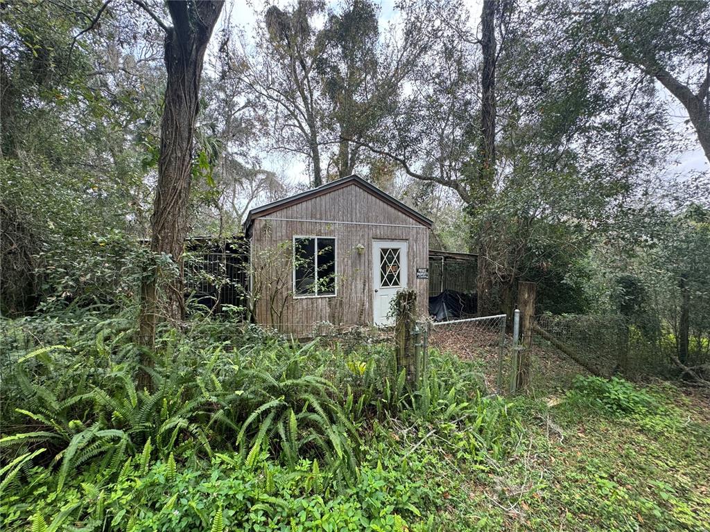 34935 Prospect Road Dade City, FL 33525 - Photo 6 of 16 Gallery Image 6