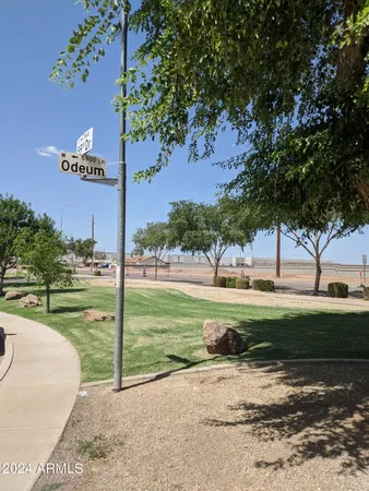a view of a park that has a tree