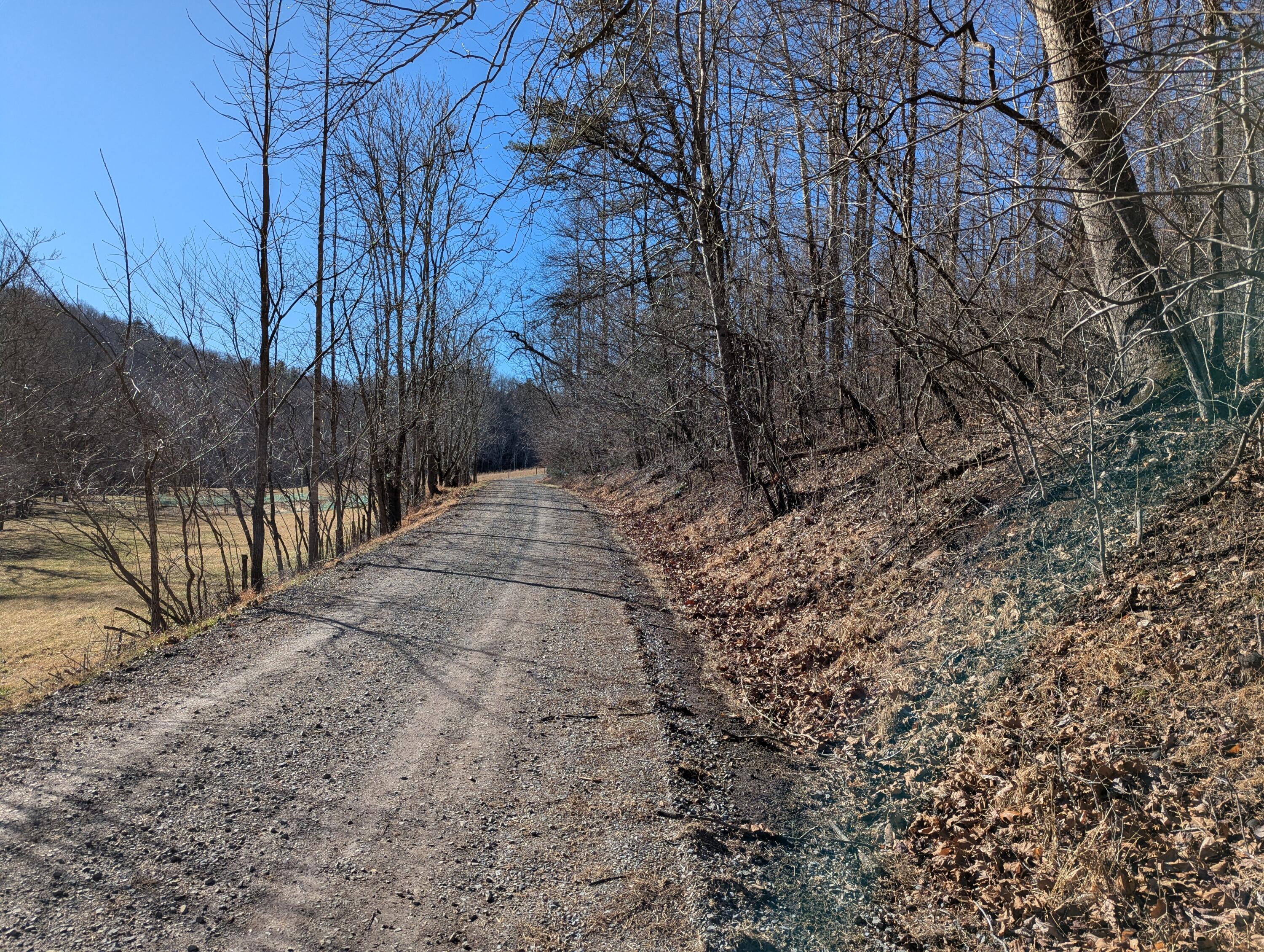 0 Tharp Creek Road Ferrum, VA 24088 - Photo 13 of 24 0 Tharp Creek Rd