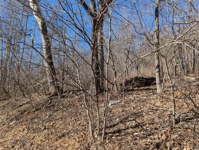 $89,900 | 0 Tharp Creek Road, Ferrum, VA 24088