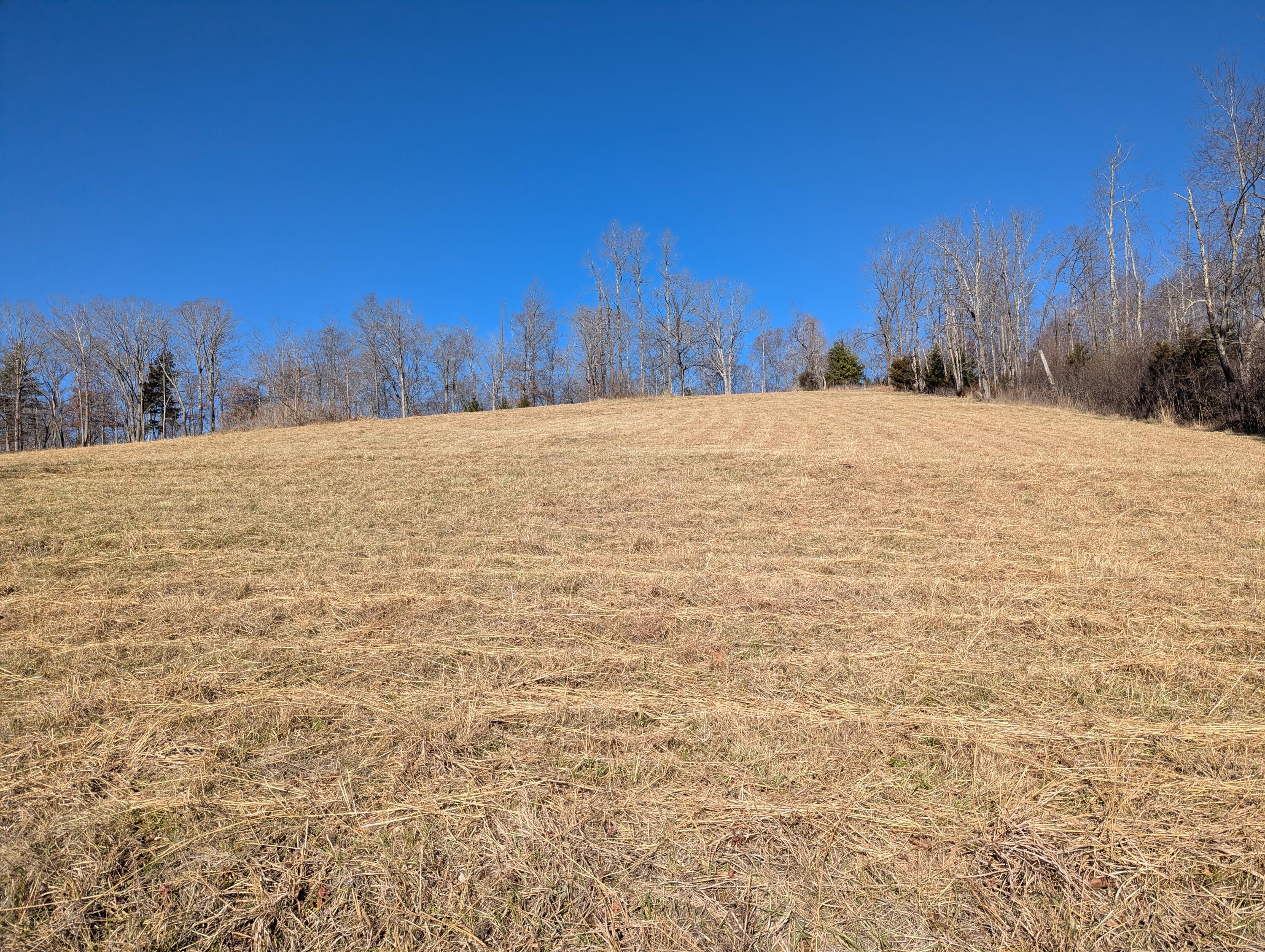 0 Tharp Creek Road Ferrum, VA 24088 - Photo 15 of 24 0 Tharp Creek Rd
