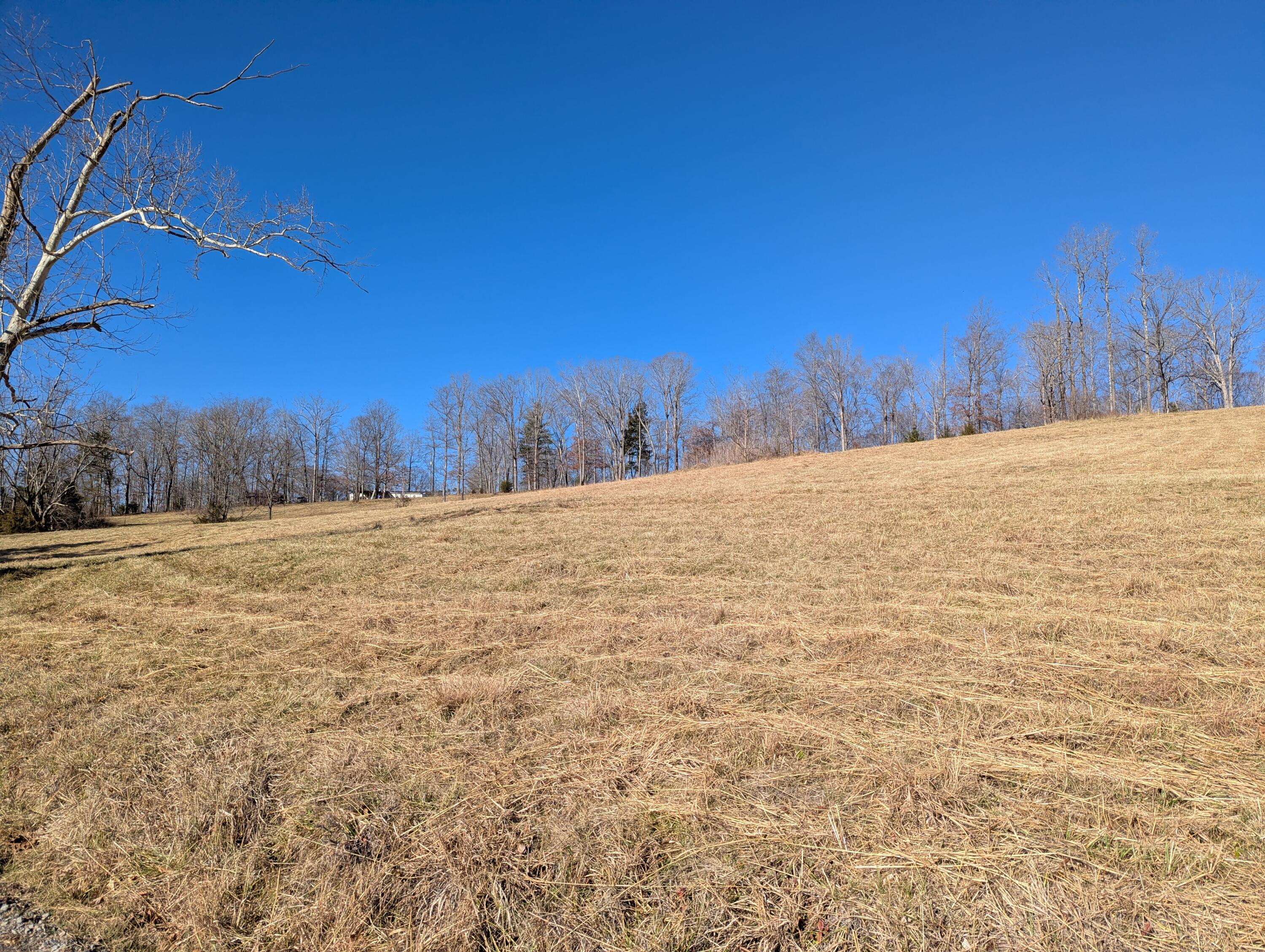 0 Tharp Creek Road Ferrum, VA 24088 - Photo 16 of 24 0 Tharp Creek Rd