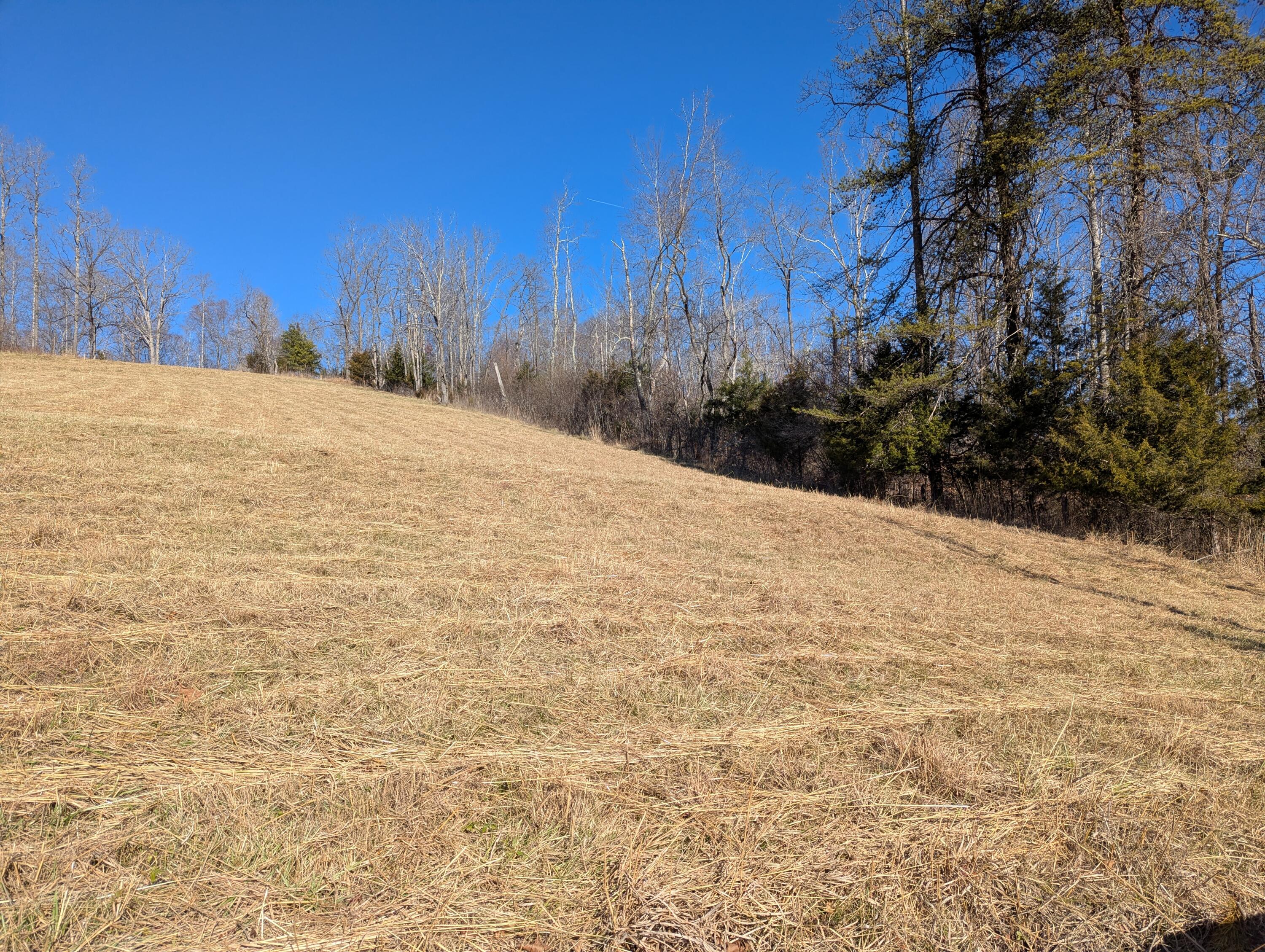 0 Tharp Creek Road Ferrum, VA 24088 - Photo 17 of 24 0 Tharp Creek Rd