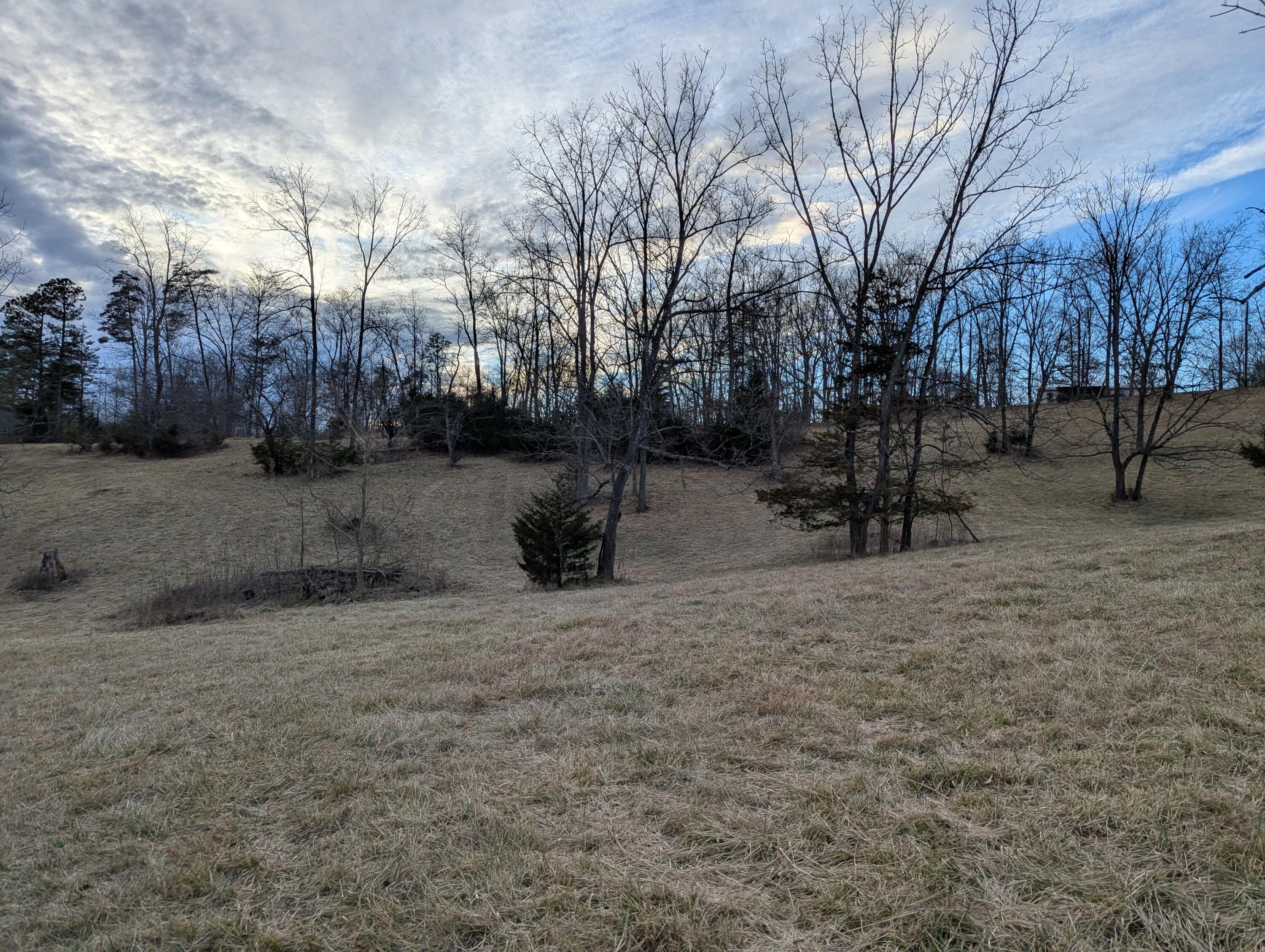 0 Tharp Creek Road Ferrum, VA 24088 - Photo 20 of 24 0 Tharp Creek Rd