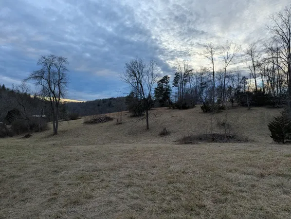 a view of a dry yard with trees