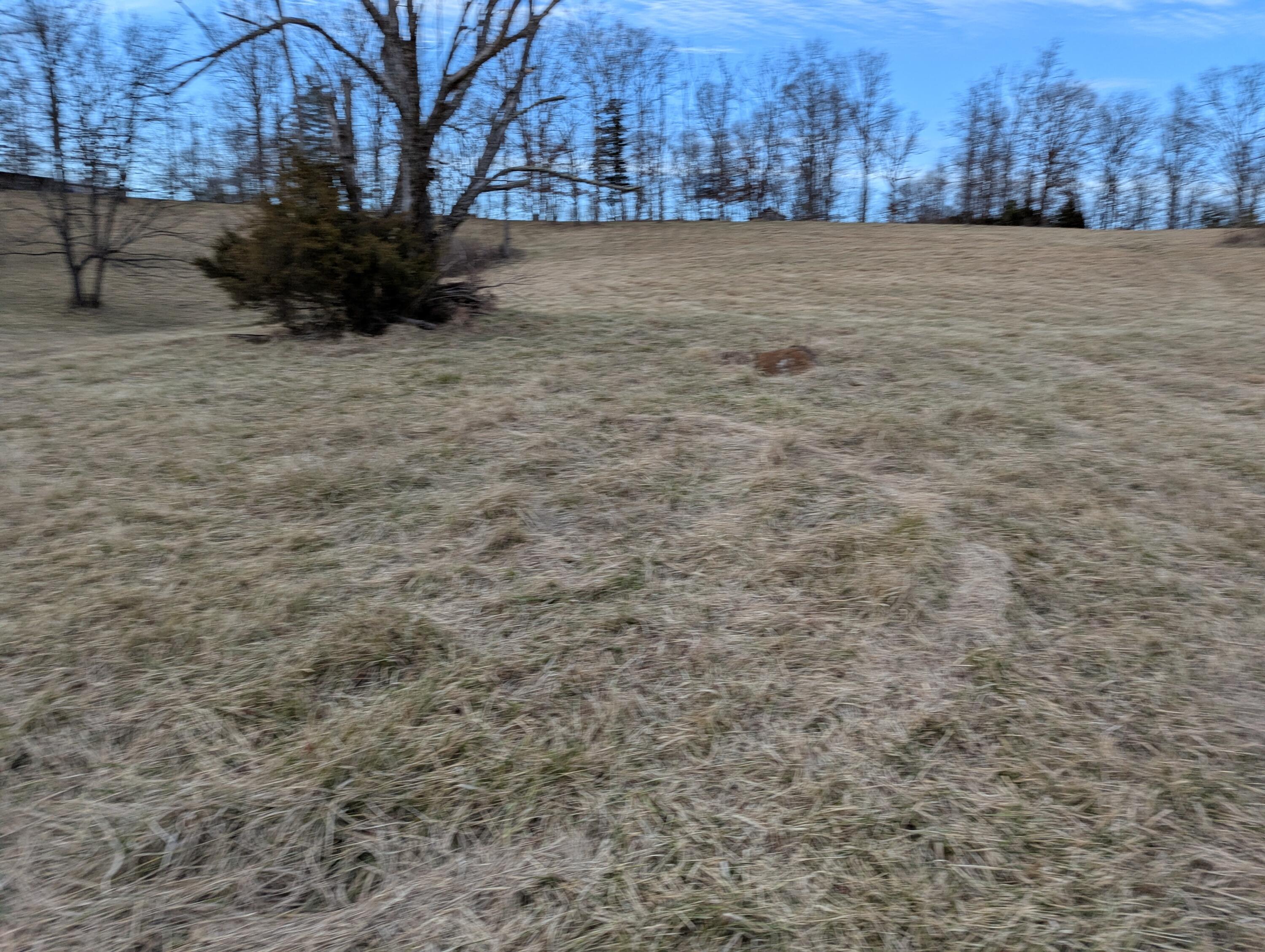 0 Tharp Creek Road Ferrum, VA 24088 - Photo 22 of 24 0 Tharp Creek Rd
