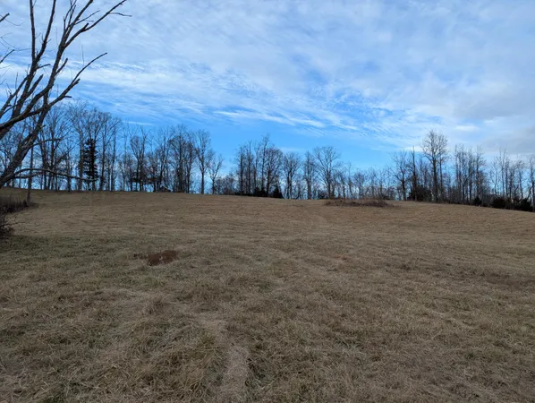 a view of outdoor space with trees