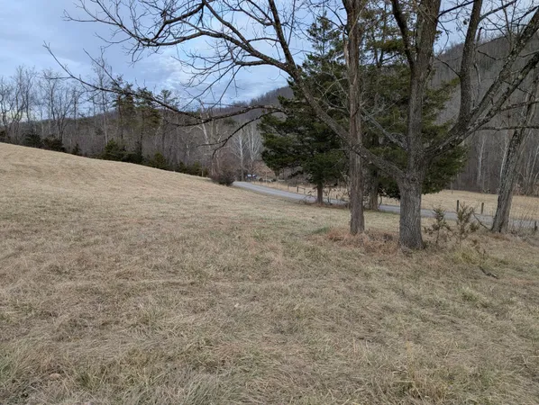 a view of a yard
