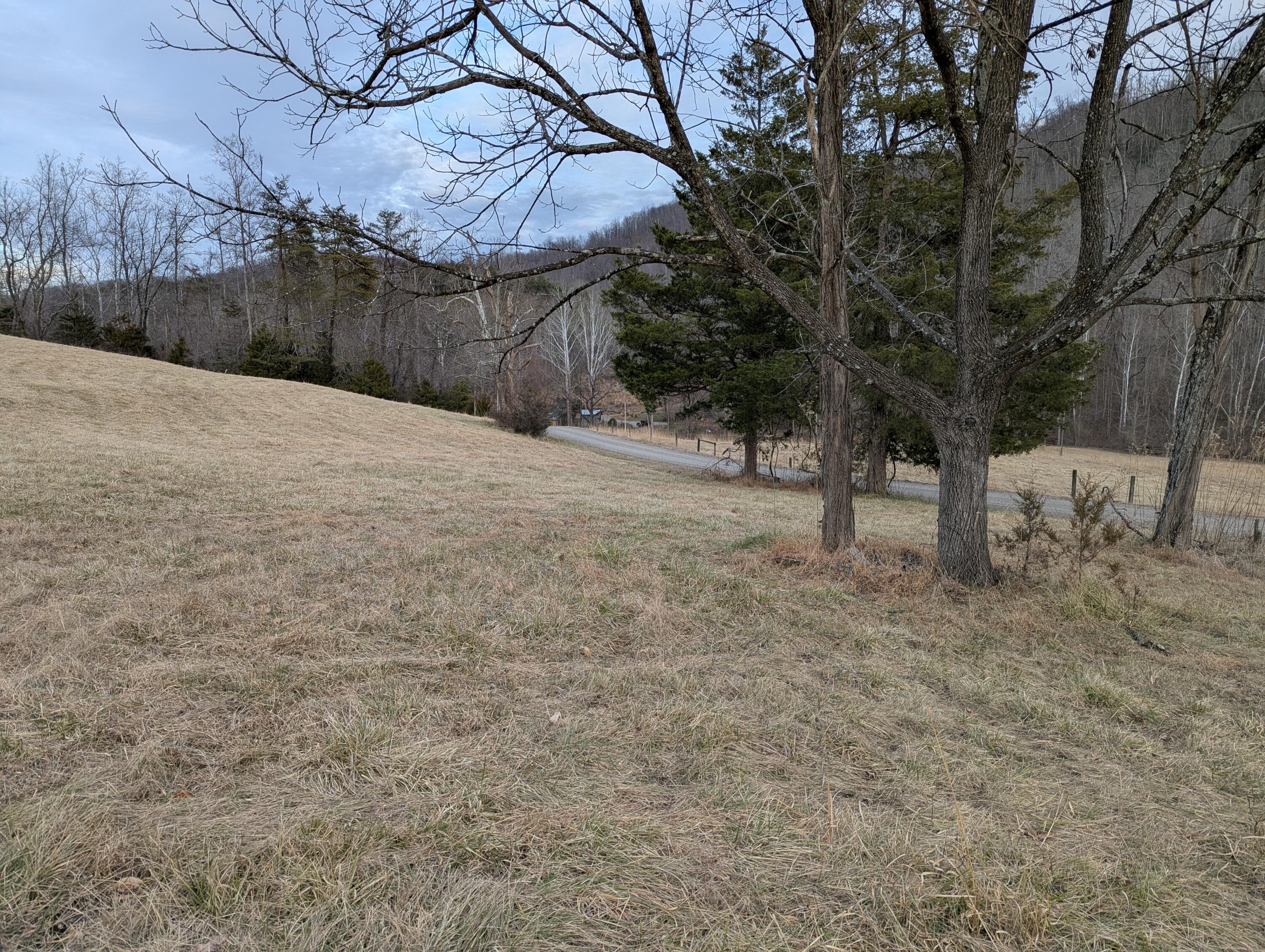 0 Tharp Creek Road Ferrum, VA 24088 - Photo 24 of 24 1000012157