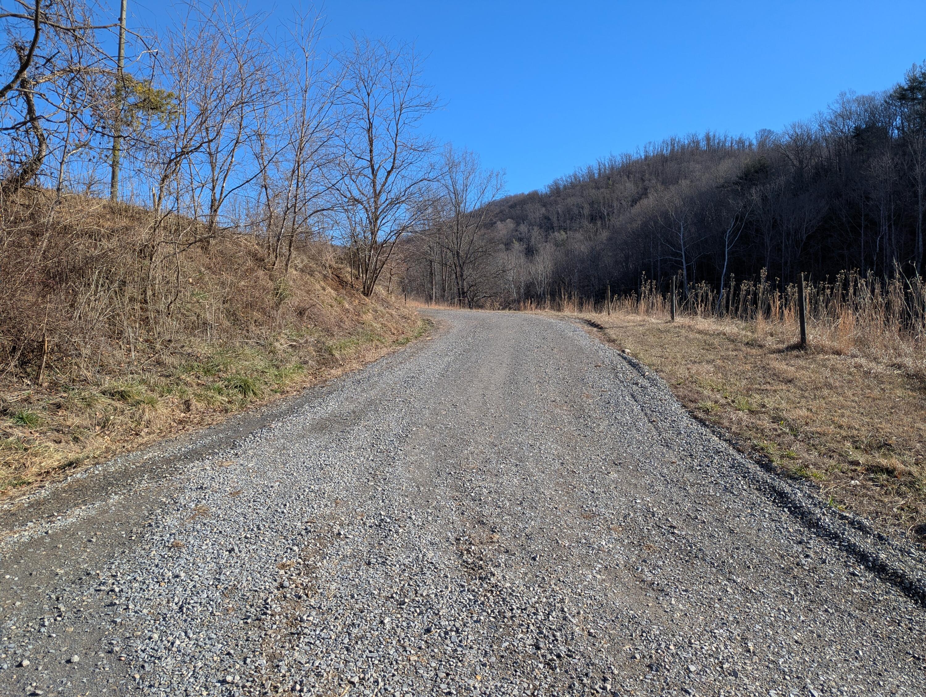 0 Tharp Creek Road Ferrum, VA 24088 - Photo 3 of 24 0 Tharp Creek Rd