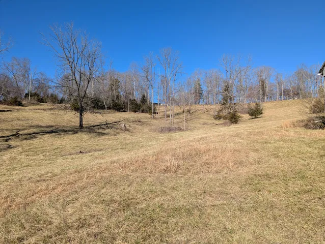 $89,900 | 0 Tharp Creek Road, Ferrum, VA 24088