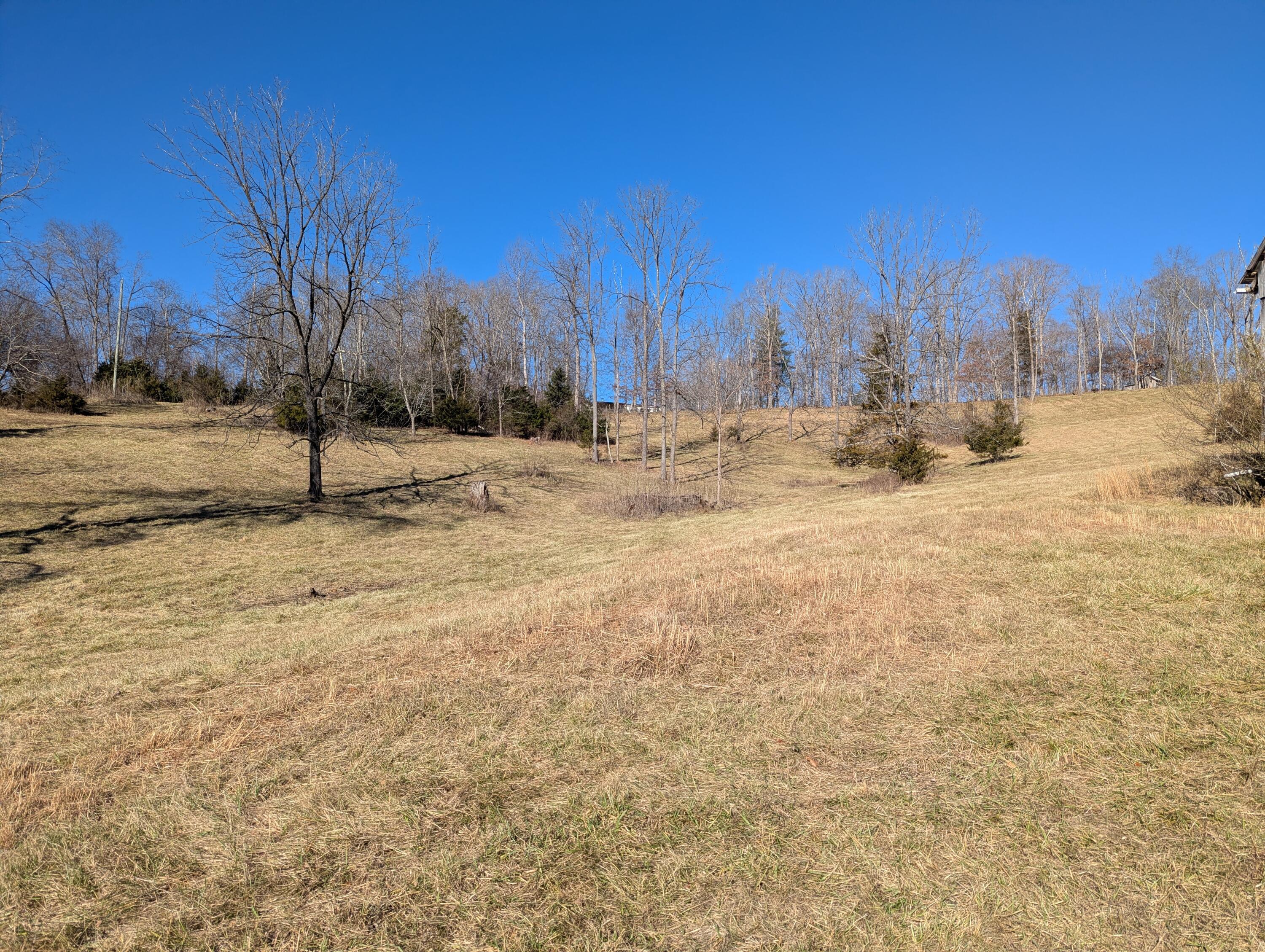 0 Tharp Creek Road Ferrum, VA 24088 - Photo 7 of 24 0 Tharp Creek Rd