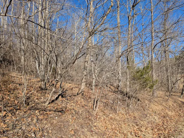 $89,900 | 0 Tharp Creek Road, Ferrum, VA 24088