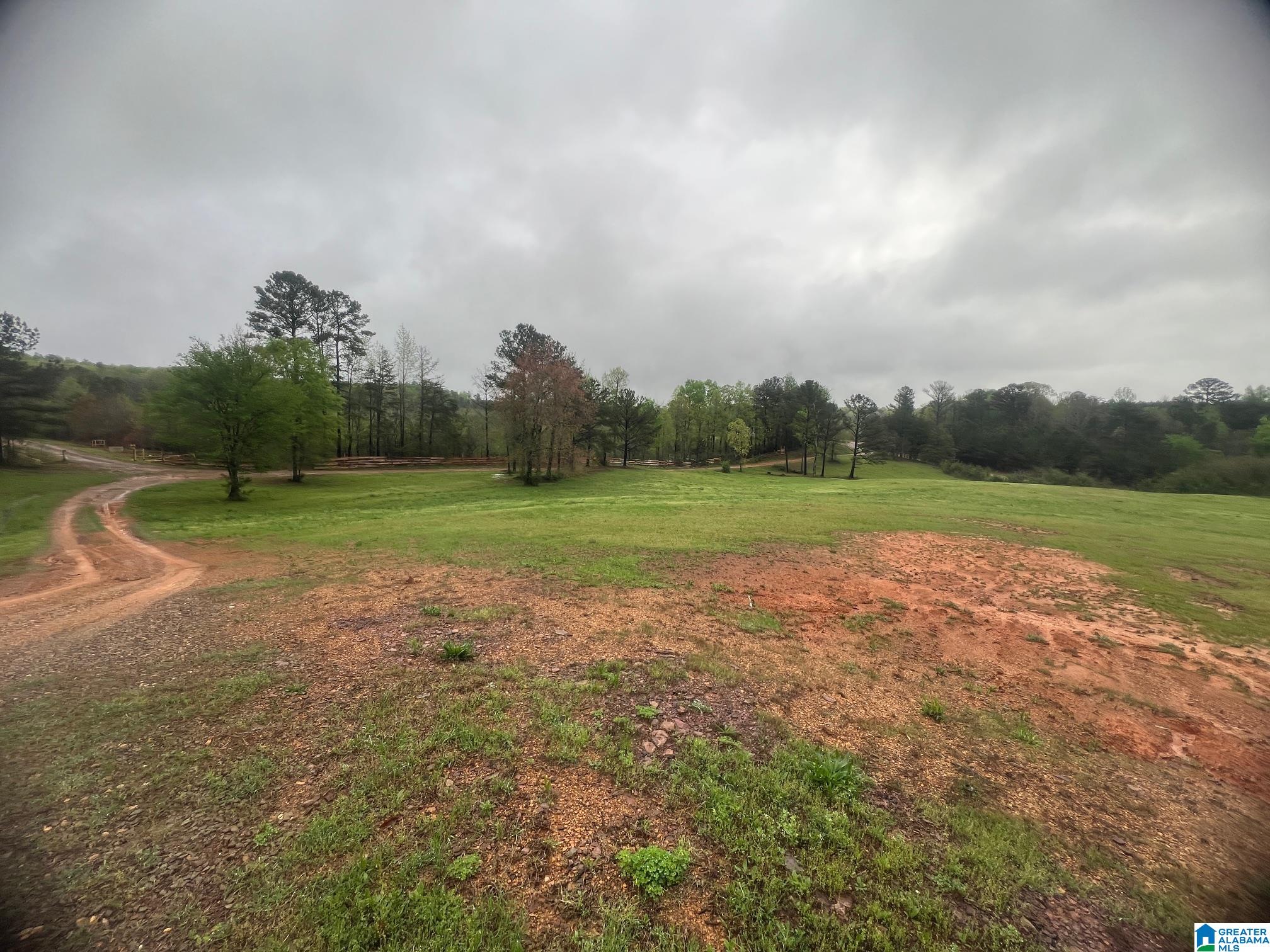 11970 Lost Road Berry, AL 35546 - Photo 25 of 32
