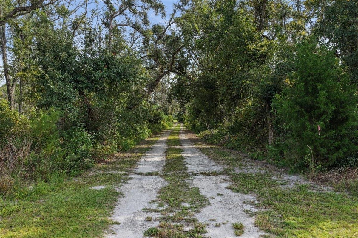 2011 Highway 221 Perry, FL 32347 - Photo 15 of 46 Gallery Image 15