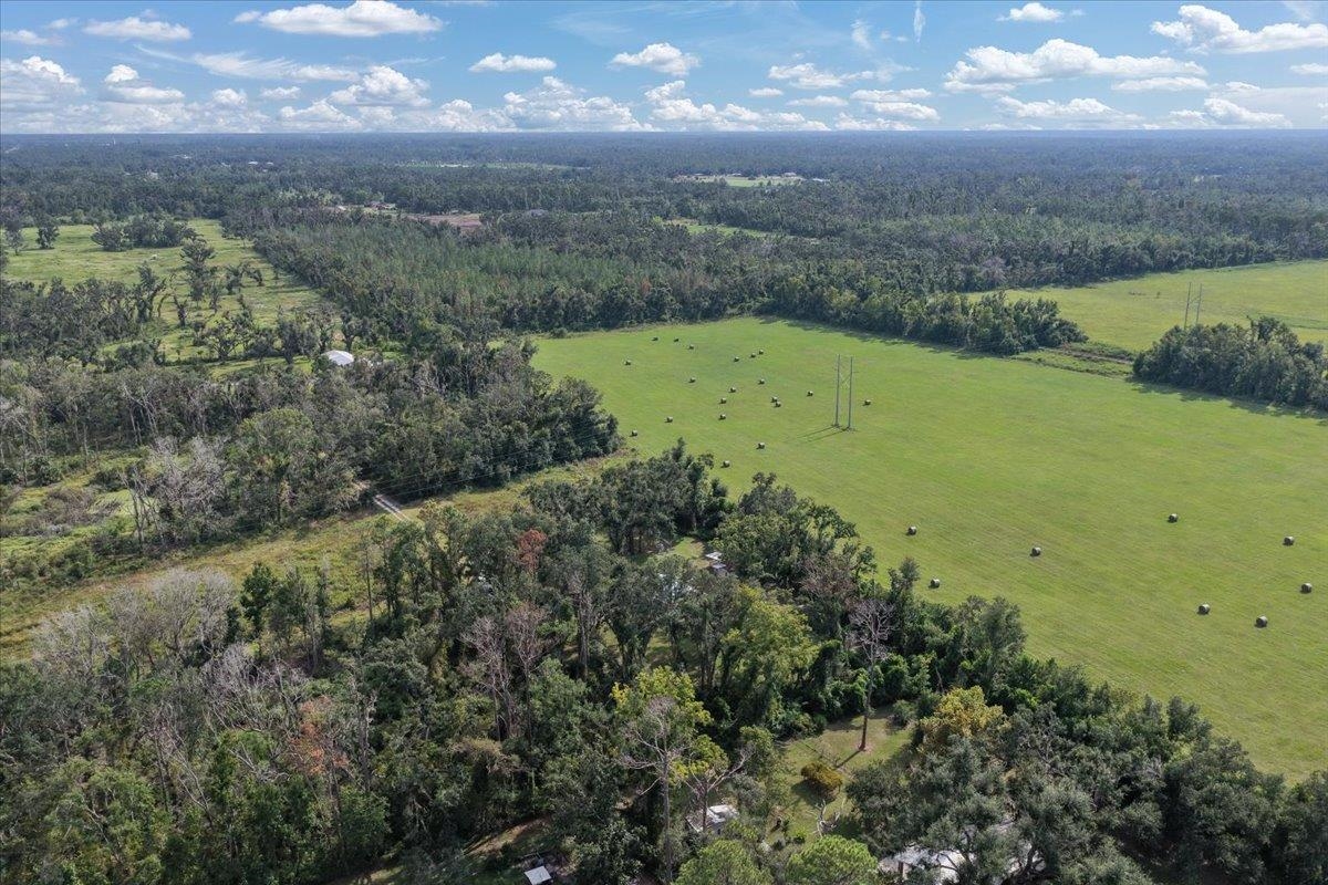 2011 Highway 221 Perry, FL 32347 - Photo 10 of 46 Gallery Image 10